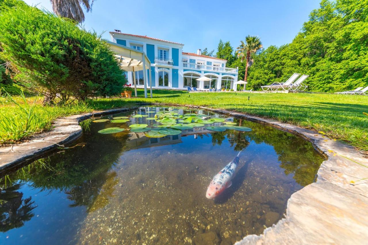 Villa Zarik Μαρμαρίς Εξωτερικό φωτογραφία